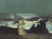 Winslow Homer A Summer Night (san39) china oil painting artist